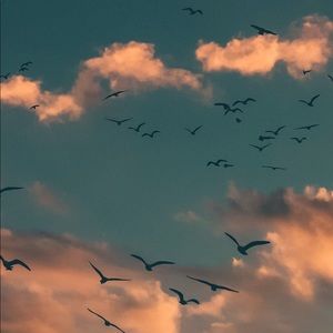 Meet your Posher, Abigail!